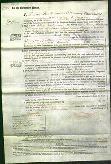 Court of Common Pleas - Ellen Hathaway-Original Ancestry