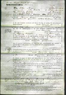 Court of Common Pleas - Henrietta Garwood Arnold-Original Ancestry