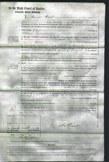 Court of Common Pleas - Eliza Pearce-Original Ancestry