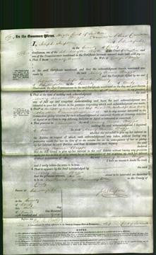 Court of Common Pleas - Mary Anne Briggs-Original Ancestry