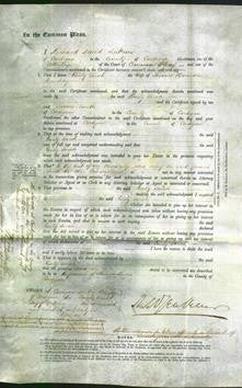 Court of Common Pleas - Emily Sarah Brenchley-Original Ancestry