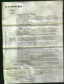 Court of Common Pleas - Sarah Melcher-Original Ancestry