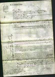 Court of Common Pleas - Mary Ann Sayers-Original Ancestry