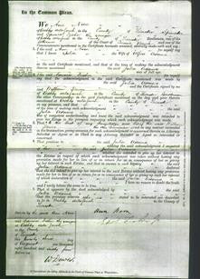 Court of Common Pleas - Julia Adams-Original Ancestry