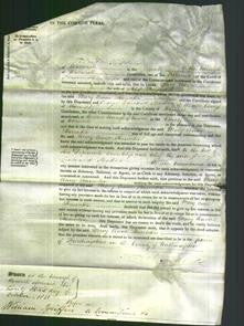 Court of Common Pleas - Mary Anne Staunton-Original Ancestry