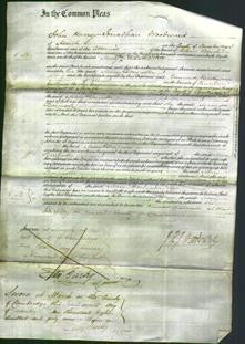 Court of Common Pleas - Mary Doncaster-Original Ancestry