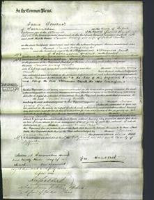 Court of Common Pleas - Louisa Mary Clarke-Original Ancestry