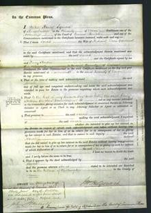 Court of Common Pleas - Sarah Garland-Original Ancestry