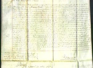 Court of Common Pleas - Jemima Payne-Original Ancestry