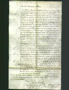 Court of Common Pleas - Jane Anwyl-Original Ancestry