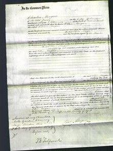 Court of Common Pleas - Ellin Morgan-Original Ancestry