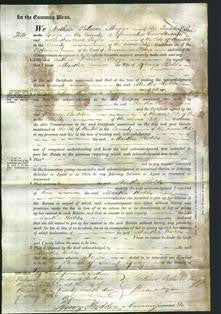 Court of Common Pleas - Martha Hobbs-Original Ancestry