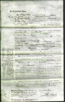 Court of Common Pleas - Charlotte Marks-Original Ancestry