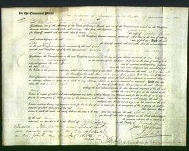 Court of Common Pleas - Ann Irwin-Original Ancestry