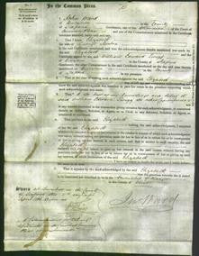 Court of Common Pleas - Elizabeth Shenton-Original Ancestry