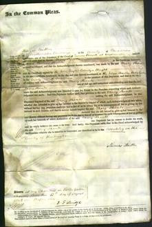 Court of Common Pleas - Mary Shands-Original Ancestry