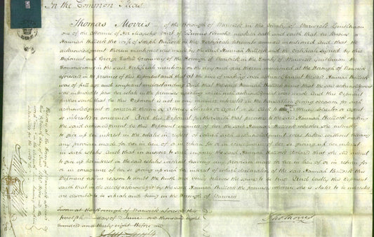 Court of Common Pleas - Hannah Bullock