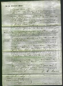 Court of Common Pleas - Harriet Corbin, Kezia Street and Hannah Poole Habgood-Original Ancestry