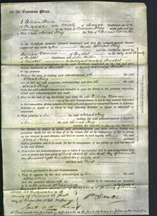 Court of Common Pleas - Sarah King Coombs-Original Ancestry