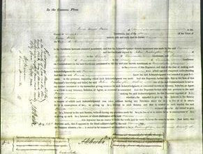 Court of Common Pleas - Francis Coop-Original Ancestry