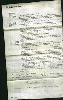 Court of Common Pleas - Ann Wright-Original Ancestry