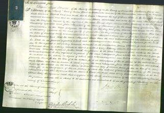 Court of Common Pleas - Margaret Jones-Original Ancestry