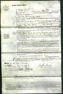 Court of Common Pleas - Anne Cole-Original Ancestry