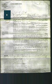 Court of Common Pleas - Sarah Maria Boldero-Original Ancestry