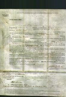 Court of Common Pleas - Mary Yate-Original Ancestry