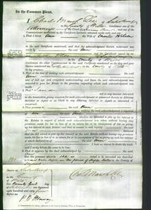 Court of Common Pleas - Ann Wilson-Original Ancestry