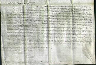 Court of Common Pleas- Mary Stacey and Elizabeth Tough-Original Ancestry