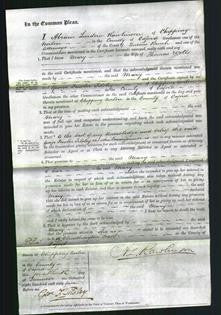 Court of Common Pleas - Mary Wells-Original Ancestry