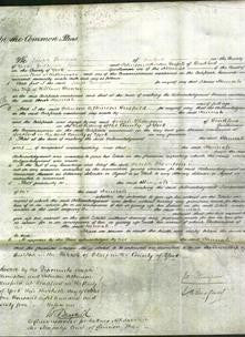 Court of Common Pleas - Hannah Brearey-Original Ancestry
