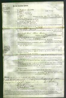 Court of Common Pleas - Isabella Blackband-Original Ancestry