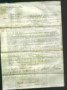 Court of Common Pleas - Judith Graves-Original Ancestry