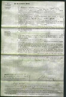 Court of Common Pleas - Margaret Grimshaw-Original Ancestry