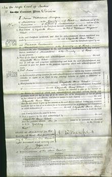 Court of Common Pleas - Elizabeth Ann Blest-Original Ancestry