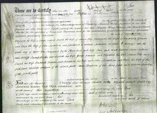 Deed by Married Women - Charlotte Wilbe, Elizabeth Yarnell, Sarah Eley, Susannah Borrows and Eliza Markham-Original Ancestry