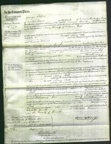 Court of Common Pleas - Mary Park-Original Ancestry