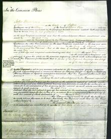 Court of Common Pleas - Mary Cotton-Original Ancestry