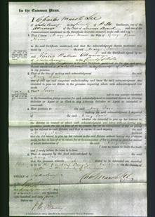 Court of Common Pleas - Mary Jane Moore-Original Ancestry