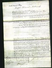 Court of Common Pleas - Sarah Jones-Original Ancestry