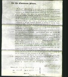 Court of Common Pleas - Julia Ann Bond-Original Ancestry