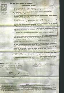 Court of Common Pleas - Elizabeth Louisa Gaze-Original Ancestry