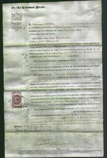 Court of Common Pleas - Martha Morgan Blackwell-Original Ancestry