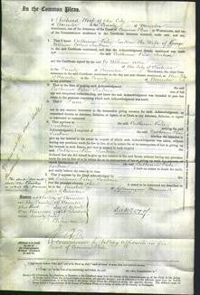 Court of Common Pleas - Catherine Price Jackson-Original Ancestry