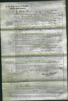 Court of Common Pleas - Eleanore Dorothea Blondine Blanchamp-Original Ancestry