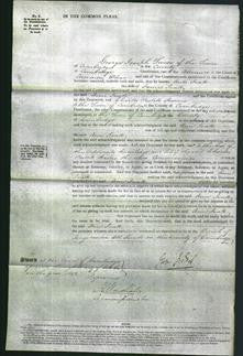 Court of Common Pleas - Ann Ivatt-Original Ancestry