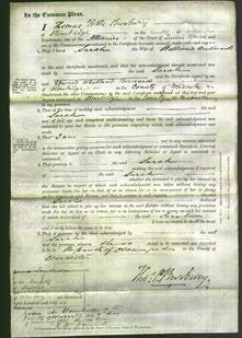 Court of Common Pleas - Sarah Millward-Original Ancestry