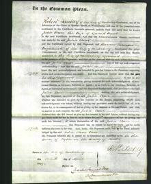 Court of Common Pleas - Julia Ann Bond-Original Ancestry